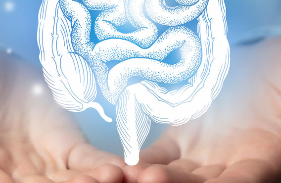 Une paire de mains blanches tenant des intestins générés de manière holographique.